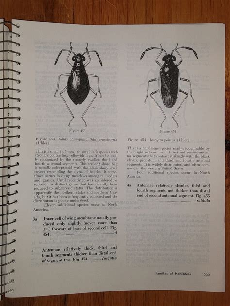 How to Know the True Bugs - BioQuipBugs