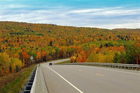 31 Stops to Add to Your 2025 Fall Color Tour Michigan