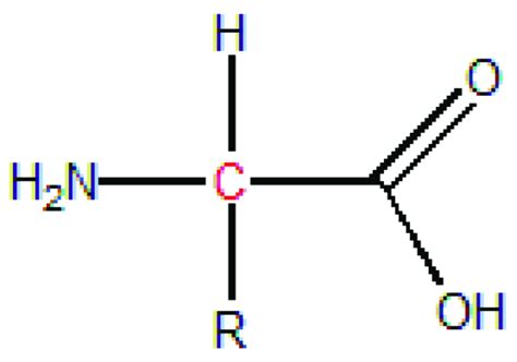 General Structure Formula Of Amino Acids Download Scientific Diagram