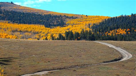 Aspen Ridge To Chinaman Gulch Buena Vista And Salida Colorado Vacation