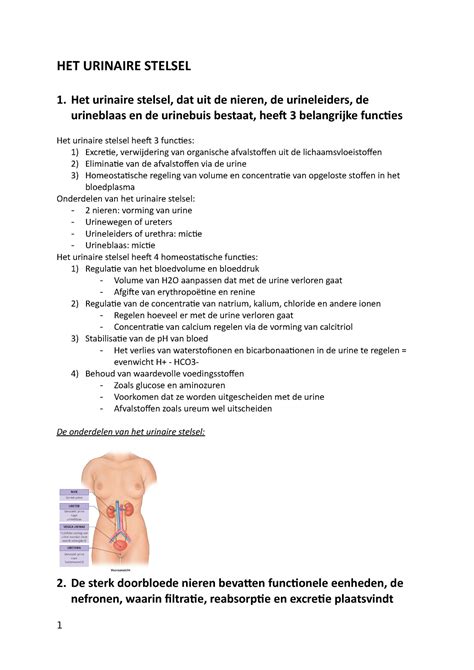 HC 1 Samenvatting HC 1 Urinaire Stelsel HET URINAIRE STELSEL 1 Het