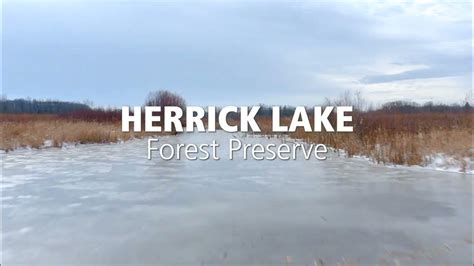 A Scenic Visit To Herrick Lake Forest Preserve Youtube