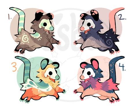 Opossum Adopts Closed By Fosbat On Deviantart