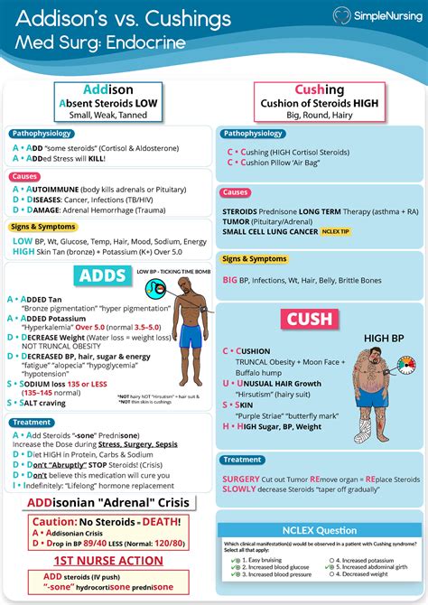 1 Addison S Vs Cushings Addison S Vs Cushings Med Surg Endocrine Pathophysiology C Cushing