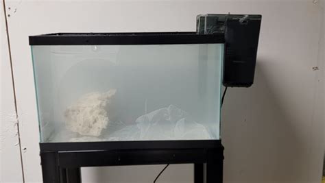 Build Thread - My 75 gallon tank | REEF2REEF Saltwater and Reef ...