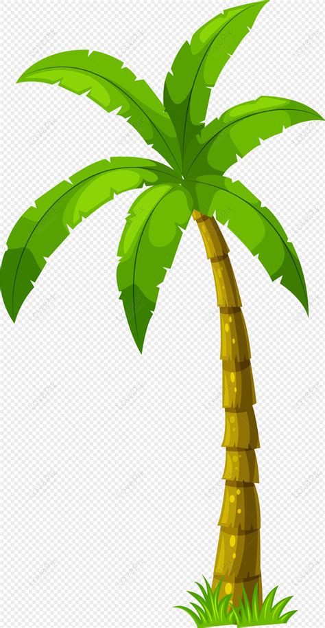 Coconut Tree, Tree, Coconut Plant, Seashore PNG Image Free Download And Clipart Image For Free ...