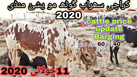 Maweshi Mandi Sohrab Goth Karachi Cattle Mandi Price Updates