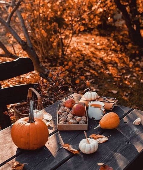 Fall Board Ideas Fall Mood Aesthetic