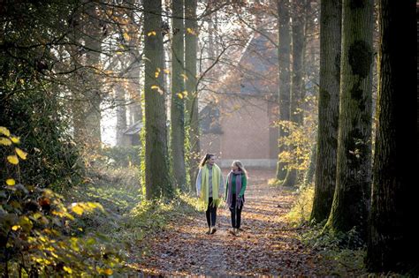 Kruiskapel Wandelroute Wandelknooppunt Be