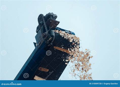 Sawdust On The Conveyor At The Sawmill Stock Photo Image Of Lumber