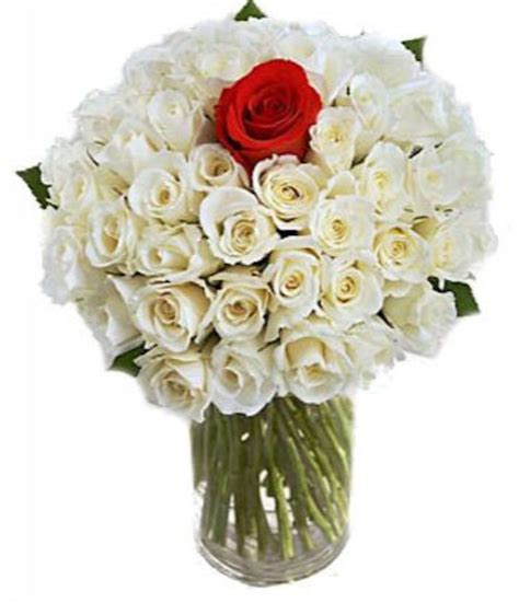 VASE WITH 40 WHITE & 1 RED ROSES