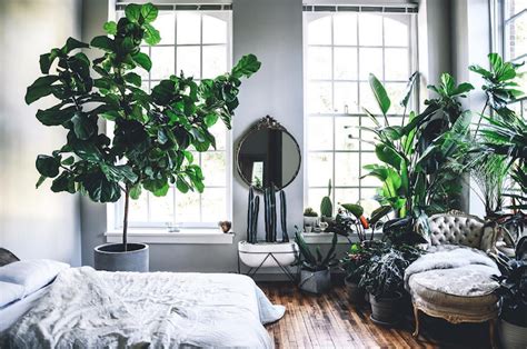 An incredible loft, filled with plants! - Mirip Dilan