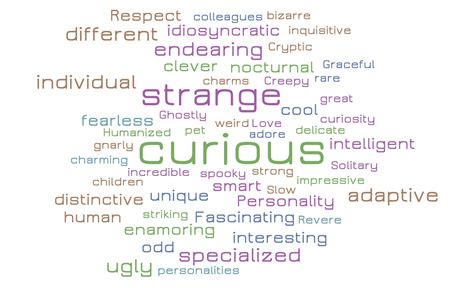 Scholars’ Perception of Aye-Ayes Compared with Scholars’ Perception of Malagasy-Aye-Aye ...