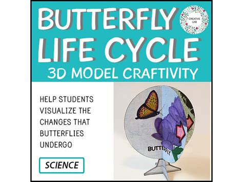 Butterfly Life Cycle 3d Model Craft Activity Printable Teaching