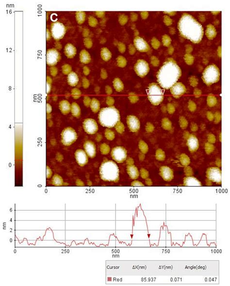 D Afm Images Together With Representative Line Scans Surface Profile