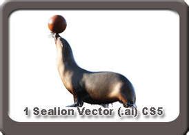 1. Sea Lion Vector for Free Download | FreeImages