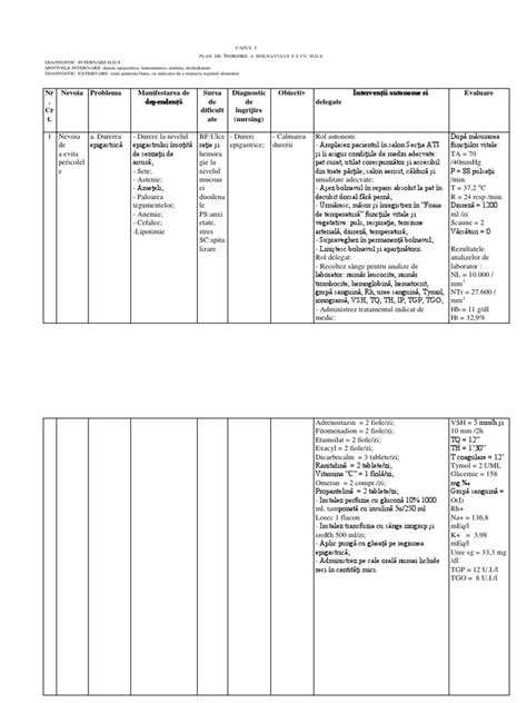 Model Plan De Ingrijire Hds Completat Pdf