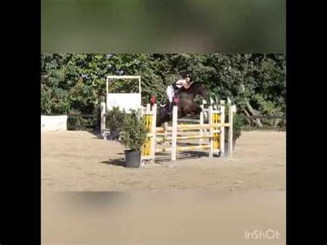 Pony In Vendita Super Pony New Forest Cat Vid O Equirodi It