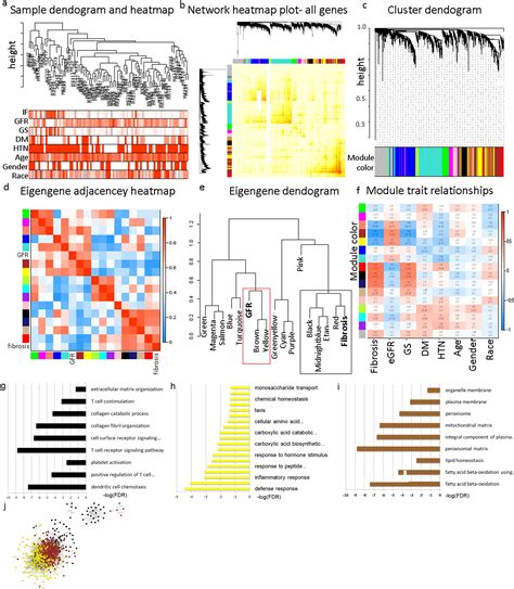 Human Kidney Tubule Specific Gene Expression Based Dissection Of