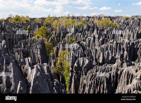 Tsingy-de-Bemaraha National Park, Mahajanga, Madagascar, Africa Stock Photo - Alamy