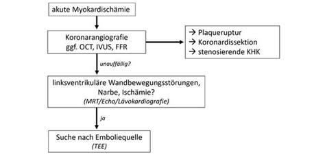 MINOCA Eine Herausforderung In Der Diagnostik Und Therapie