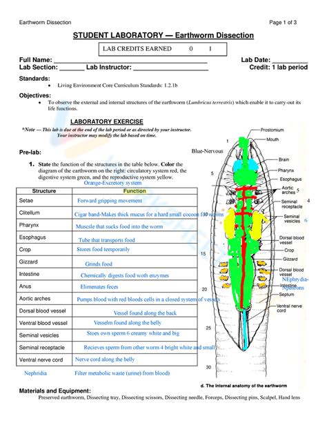 Student Laboratory Earthworm Dissection Worksheet