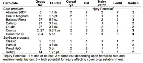 Managing Risk When Using Herbicides And Cover Crops In Corn And Soybean