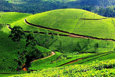 Tourism Kerala Nature Hd Wallpaper Pxfuel