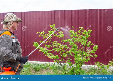 A Man Is Spraying The Fruit Trees In His Garden Plot Garden Care