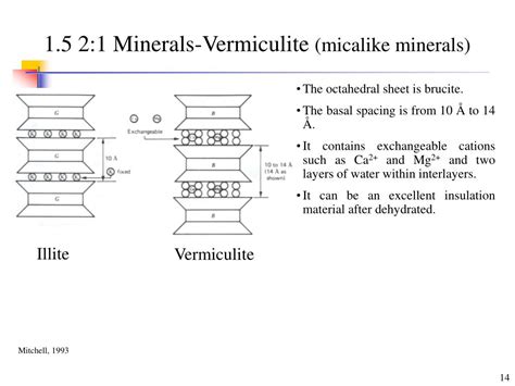 PPT IV Clay Minerals And Soil Structure PowerPoint Presentation Free