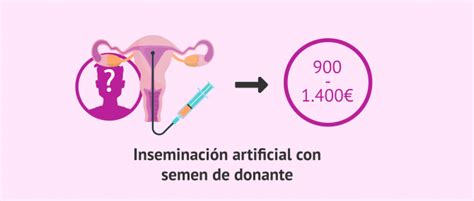 Coste Inseminaci N Artificial Ovodonante