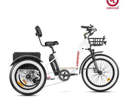 14 Amazon Electric Trikes That Nail Torque, Range and Comfort - Gadget