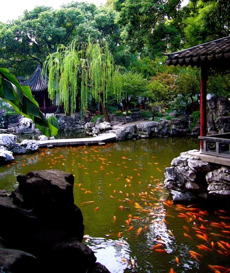 Yuyuan Garden – Arch Journey