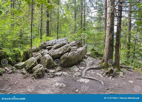 Ravine Homole In Pieniny Mountains Poland Stock Photo Image Of Trip