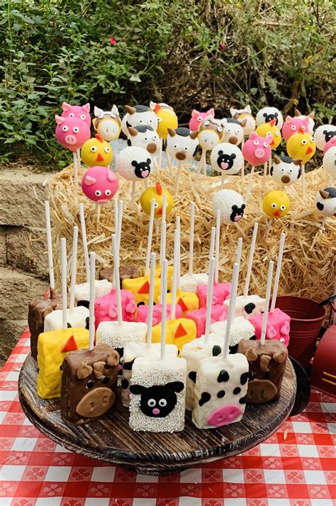 farm birthday party near me 3