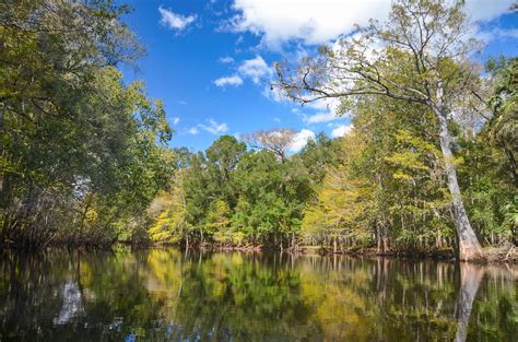 The Withlacoochee River | Florida Paddle Notes