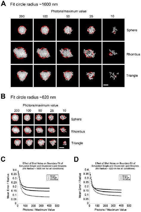 Figure From New Automated Single Cell Technique For Segmentation And