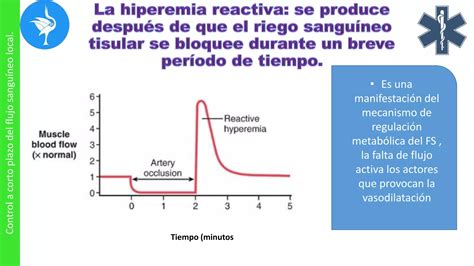 Capitulo Control Local Y Humoral Del Flujo Sangu Neo Por Los