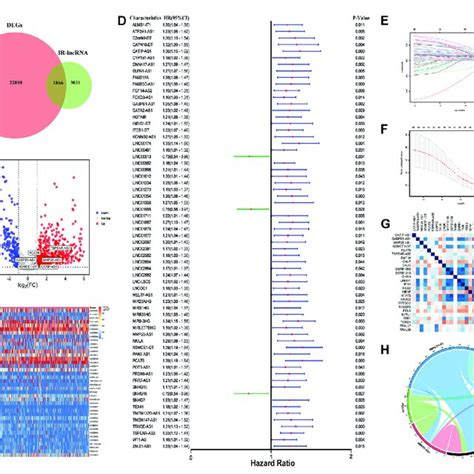 Construction Of Ir Lncrna Prognostic Signature A Venn Diagram To