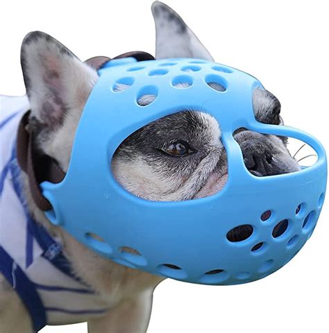 5 Best Muzzles For Pugs Pet Care Advisors