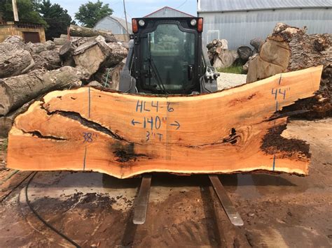 Unique Live Edge Honey Locust Slab With Lots Of Character Etsy