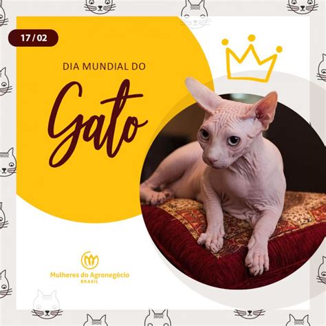 Dia Mundial do Gato Missão Mulheres do Agro