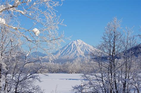 Tundra and Alpine Ecosystem of Pakistan - Climatic Biome