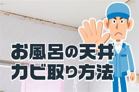 お風呂の天井カビ解消！プロが教える簡単なカビ取り方法 株式会社静城産業