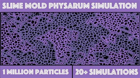 Slime Mold Physarum Simulation C Compute Shaders Youtube