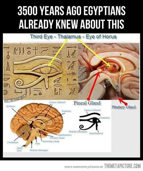 Secrets Of The Third Eye The Eye Of Horus Beyond The Illuminati