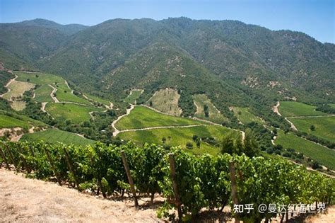 世界著名葡萄酒产区之一：智利中央山谷 Central Valley ，独特地域酿造出的精品好酒 知乎