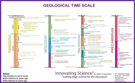 The Innovating Science Geological Time Scale Shows Major Evolutionary