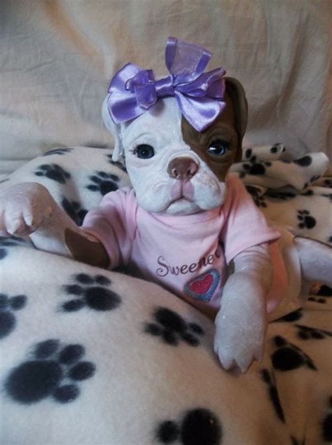 8 Best Reborn Puppy Images On Pinterest Reborn Babies Reborn Baby