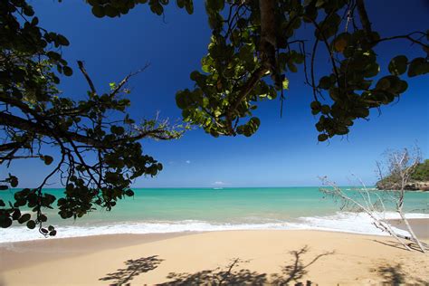 Visiter Sainte Rose Guadeloupe A Faire à Voir à Sainte Rose Les